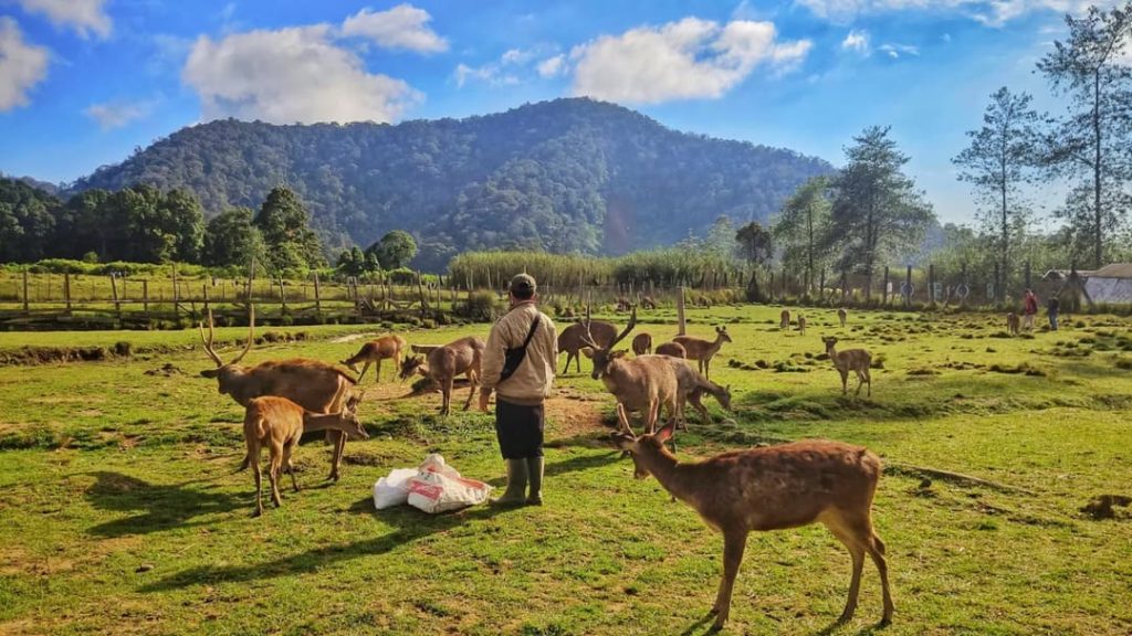Kampung Cai Ranca Upas