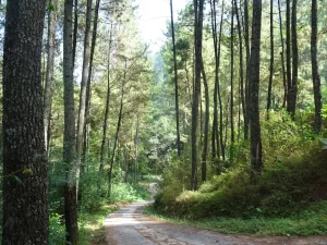 Eksplorasi Keindahan Curug Sawer Bandung Barat