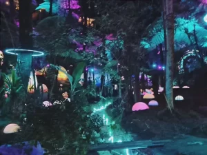 Hutan Mycelia Cikole- Destinasi Wisata Unik yang Membawa Kamu ke Dunia Dongeng