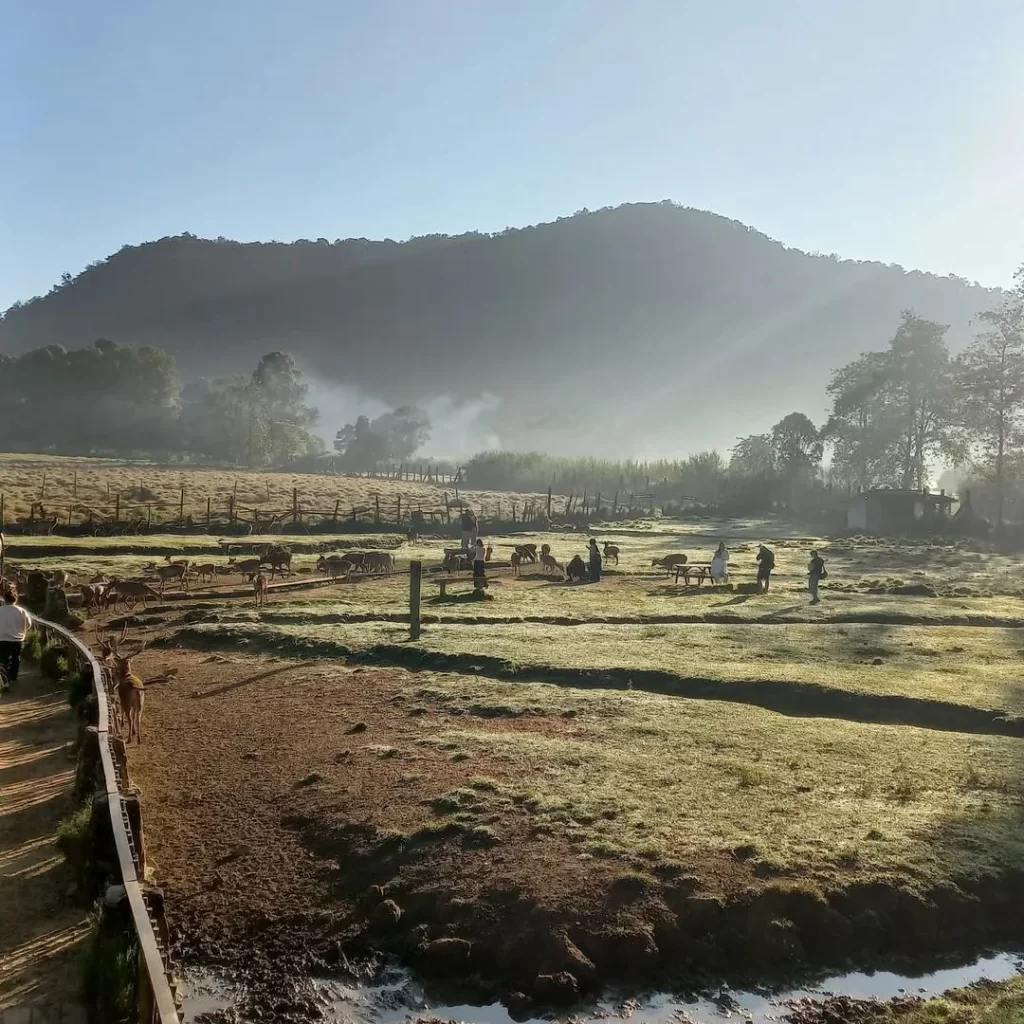Tempat Camping di Bandung- Liburan Seru di Alam Terbuka