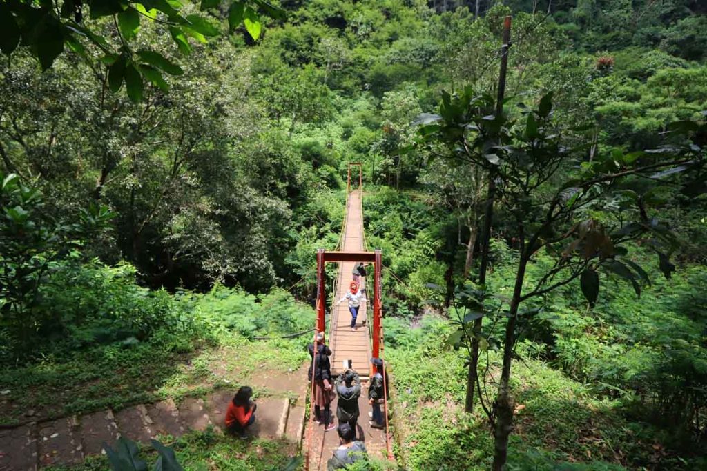 Taman Hutan Raya Ir. H. Djuanda